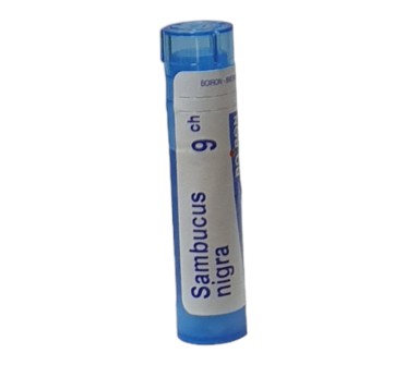 SAMBUCUS NIGRA 9 CH